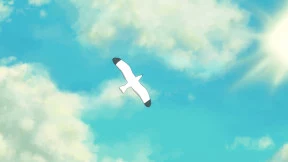 s_8.webp