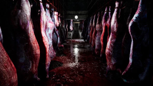 b_5.webp