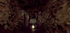 s_2.webp