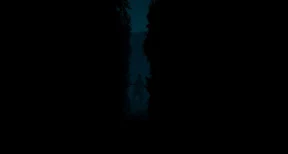 s_5.webp