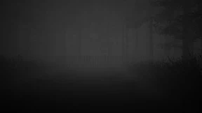 s_8.webp