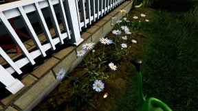 s_5.webp