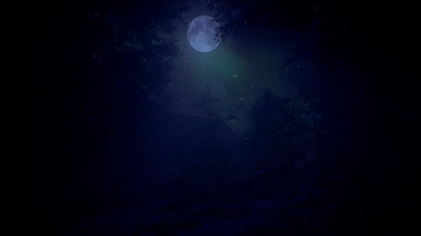 b_8.webp