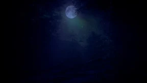 s_8.webp