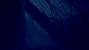 s_1.webp