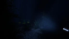 s_6.webp