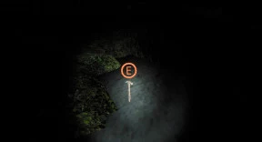 s_6.webp