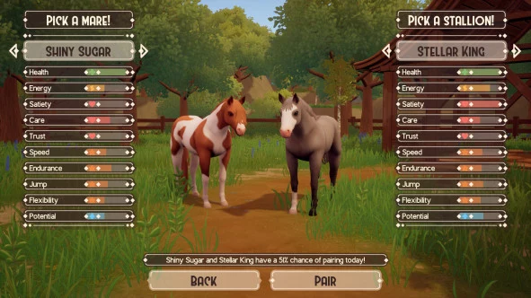 b_5.webp