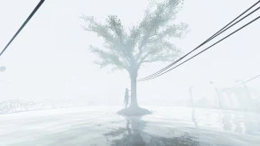 s_1.webp
