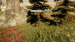 s_5.webp