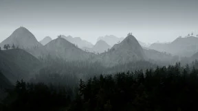 s_8.webp