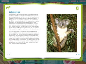 s_2.webp