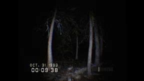 s_3.webp