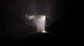 s_8.webp