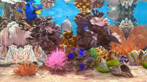 s_5.webp
