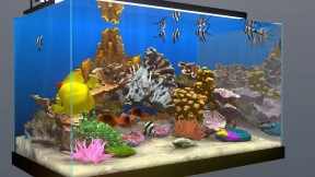 s_6.webp