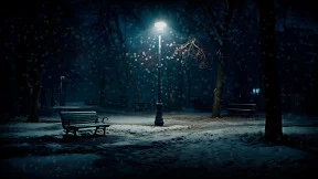 s_2.webp