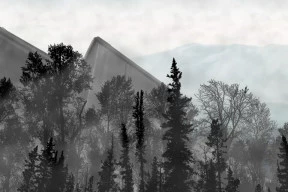 s_2.webp