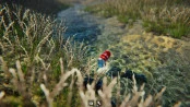 s_2.webp