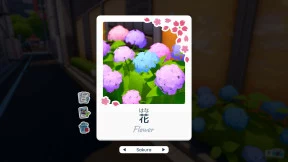 s_5.webp
