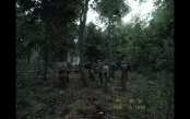 s_7.webp