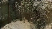 s_4.webp