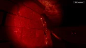 s_1.webp