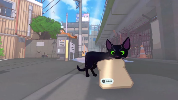 b_1.webp