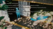s_1.webp