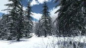 s_3.webp