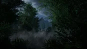s_2.webp