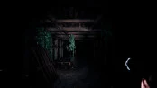 s_6.webp