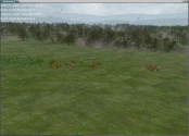 s_8.webp