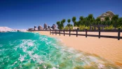 s_8.webp