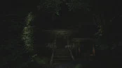 s_6.webp