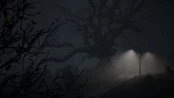 s_2.webp