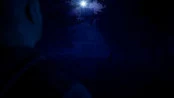 s_2.webp