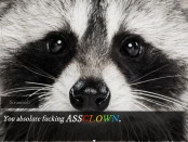 s_7.webp