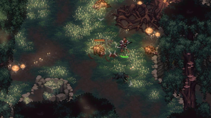 b_5.webp