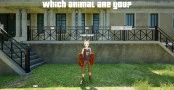 s_7.webp