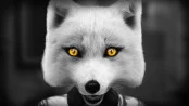 s_8.webp