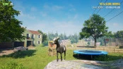 s_6.webp