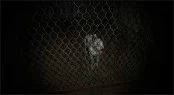 s_8.webp