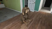 s_8.webp