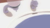 s_6.webp
