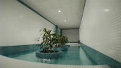 s_5.webp