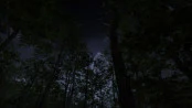 s_8.webp