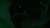 s_8.webp