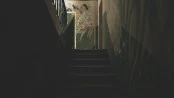 s_8.webp