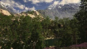s_7.webp